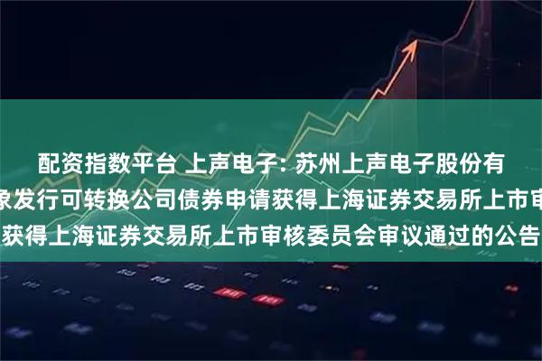 配资指数平台 上声电子: 苏州上声电子股份有限公司关于向不特定对象发行可转换公司债券申请获得上海证券交易所上市审核委员会审议通过的公告